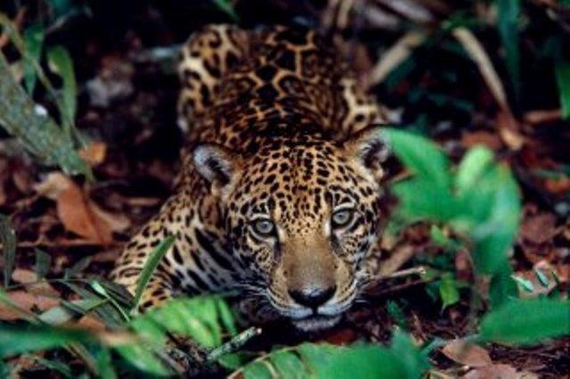 Cataguas Brasil Pousada 카항카스 외부 사진